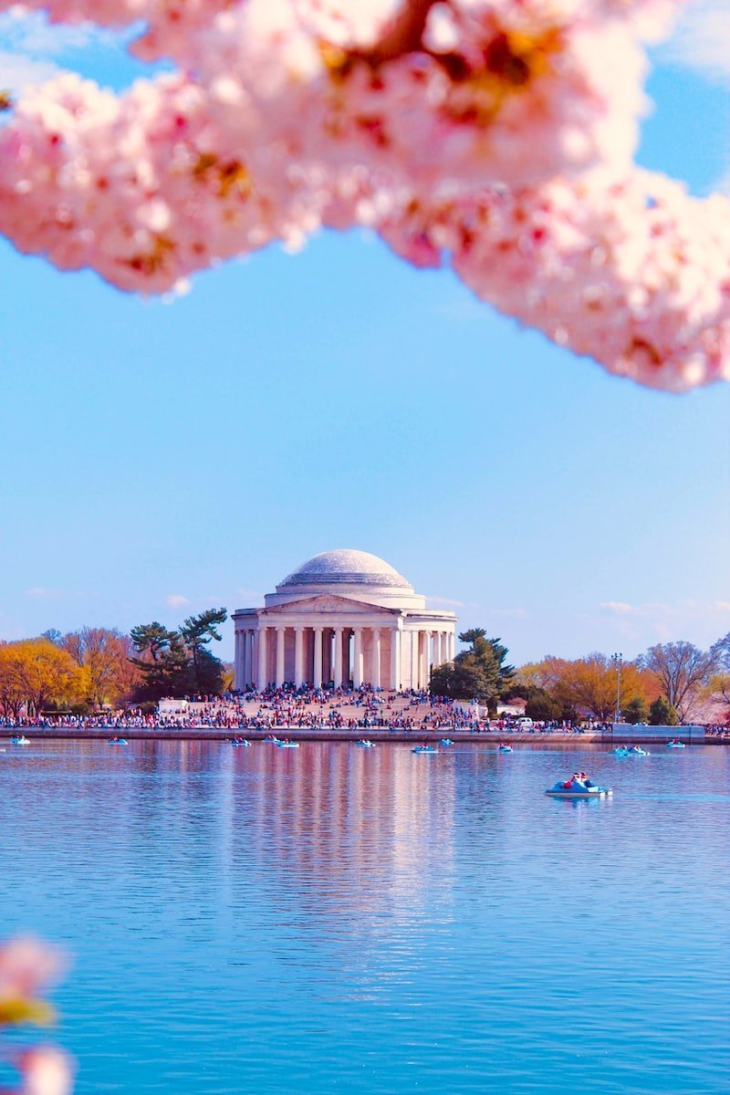5 Stunning Cities To See Cherry Blossoms In Full Bloom | Rich Woman ...